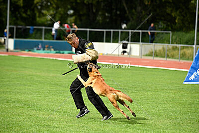 Calle von der schwarzen Mamba