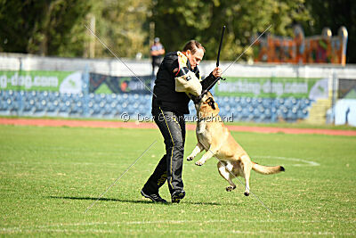 Calvin Klein Is Always Crazy