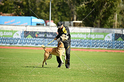 Calvin Klein Is Always Crazy