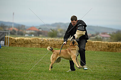 Calvin Klein is Always Crazy