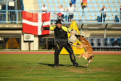 Calvin Klein is Always Crazy