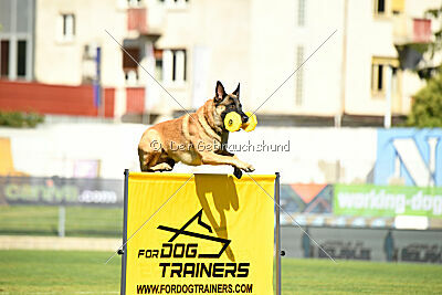 Calvin Klein is Always Crazy