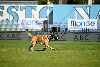 Calvin Klein is Always Crazy