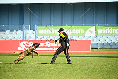 Camino Brillante Beshketnik