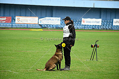 Camino Brillante Beshketnik