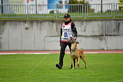 Campari vom Clan der Wölfe