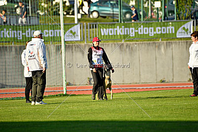 Campari vom Clan der Wölfe