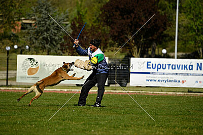 Cane Codi-Fin