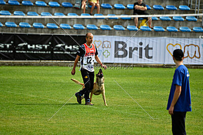 Cane Codi-Fin
