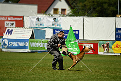 Caramba von der schwarzen Mamba