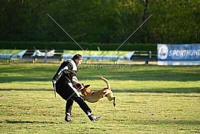 Caramba von der schwarzen Mamba