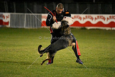 Carbon vom Bergmanns-Weg