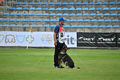 Caretino Czech Legendary