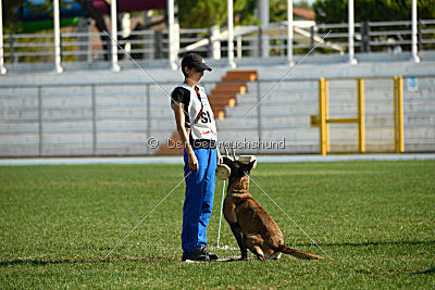 Carina Ajka Force Canina