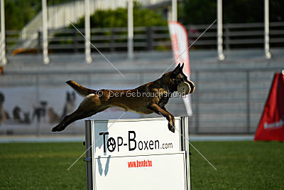 Carina Ajka Force Canina