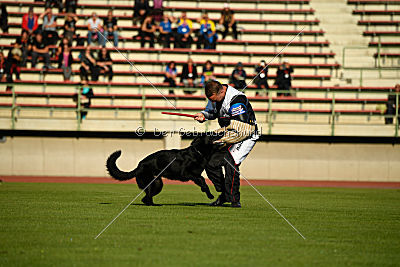 Carlo von der Lobdeburg