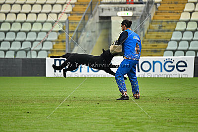 Carlo von der Lobdeburg