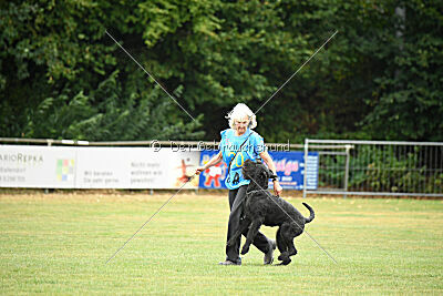 Carotte von Elberfeld