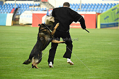 Cash von den Wannaer Höhen