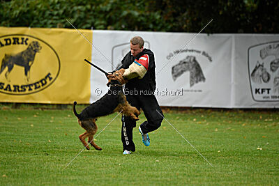 Caspar-David vom roten Milan