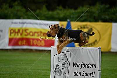 Caspar-David vom roten Milan