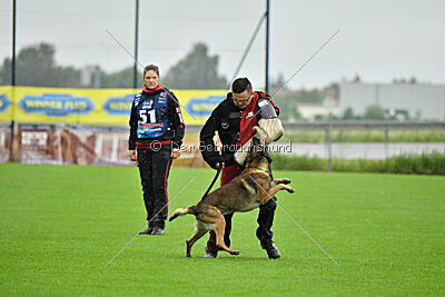 Cassius Dio vom Buxtehuder Bullen