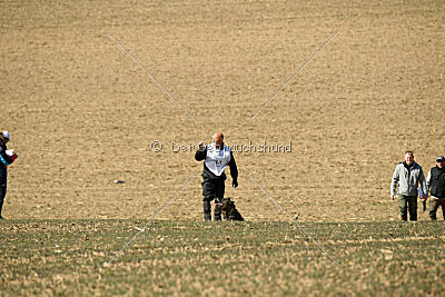 Castrol vom Rebell Hof