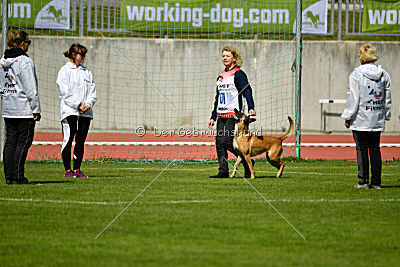 Catlyn vom Clan der Wolfe