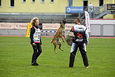 Catlyn vom Clan der Wolfe