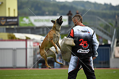 Catlyn vom Clan der Wolfe