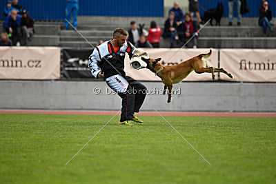 Catlyn vom Clan der Wolfe