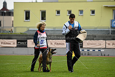 Catlyn vom Clan der Wolfe