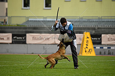 Catlyn vom Clan der Wolfe