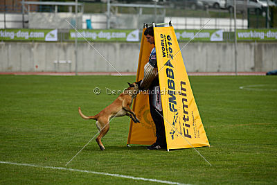 Catlyn vom Clan der Wolfe