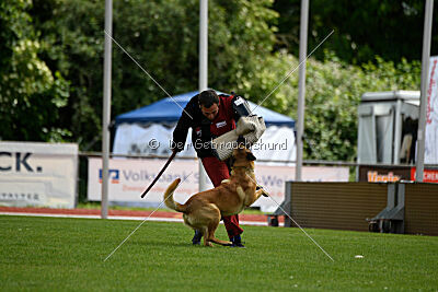 Cave Canem Odin vom Mittelpunkt