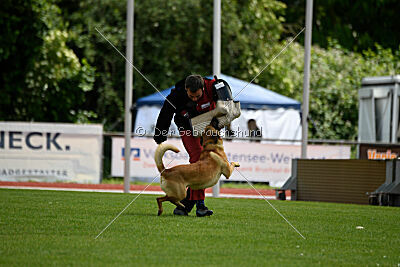 Cave Canem Odin vom Mittelpunkt
