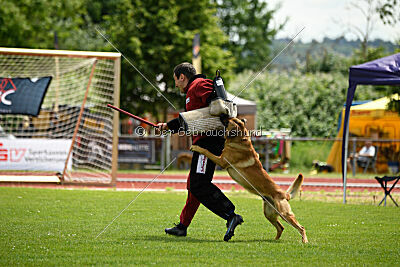 Cave Canem Odin vom Mittelpunkt