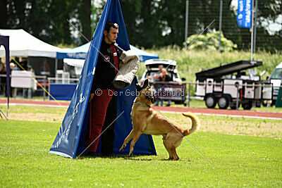 Cave Canem Odin vom Mittelpunkt