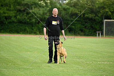 Cave Canem Odin vom Mittelpunkt