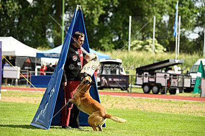 Cayar von der schwarzen Mamba