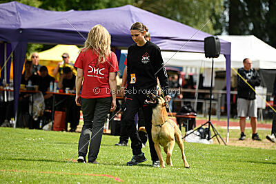 Cayar von der schwarzen Mamba