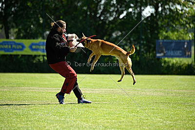 Cayar von der schwarzen Mamba