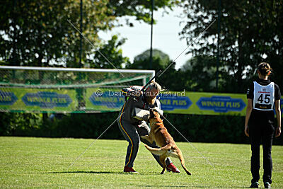 Cayar von der schwarzen Mamba