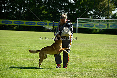 Cayar von der schwarzen Mamba
