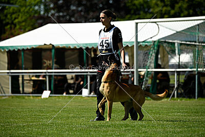 Cayar von der schwarzen Mamba