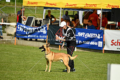 Cayar von der schwarzen Mamba