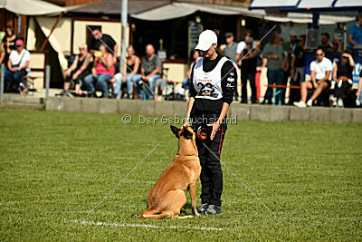 Cayar von der schwarzen Mamba