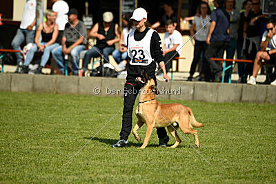 Cayar von der schwarzen Mamba