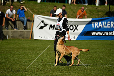 Cayar von der schwarzen Mamba