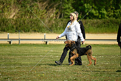 Cedrik vom Roten Milan